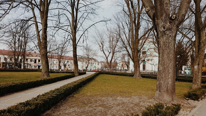 Siedlce katedra
