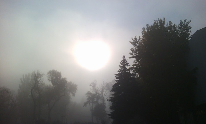 Foggy morning.