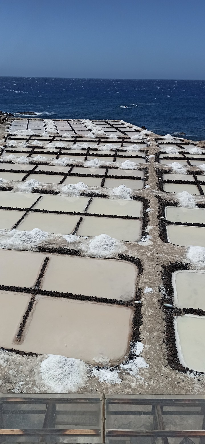 Salinas de La Palma