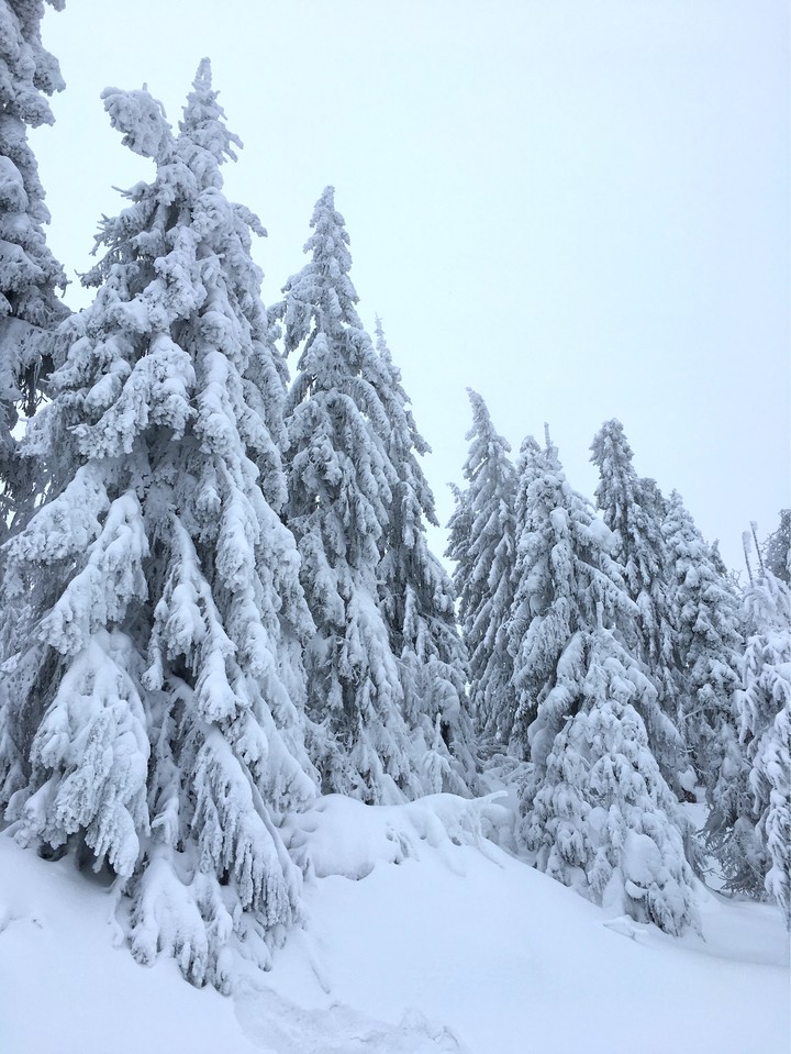 Winters