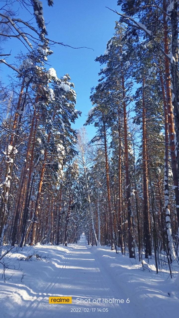 л