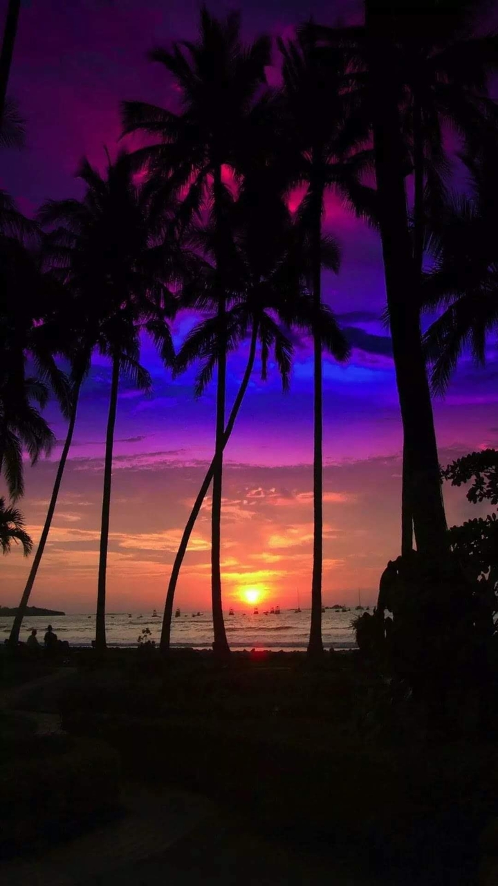 Beauté de la nature