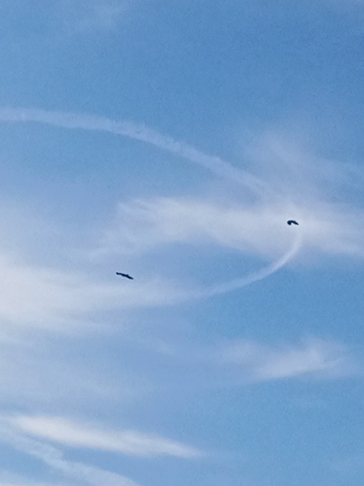 finding their place on the sky