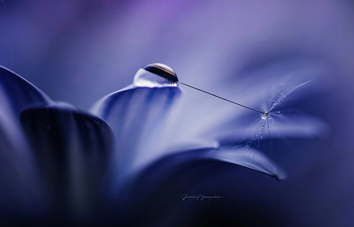 Drop