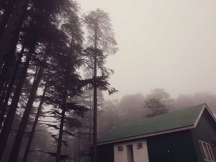 Patnitop