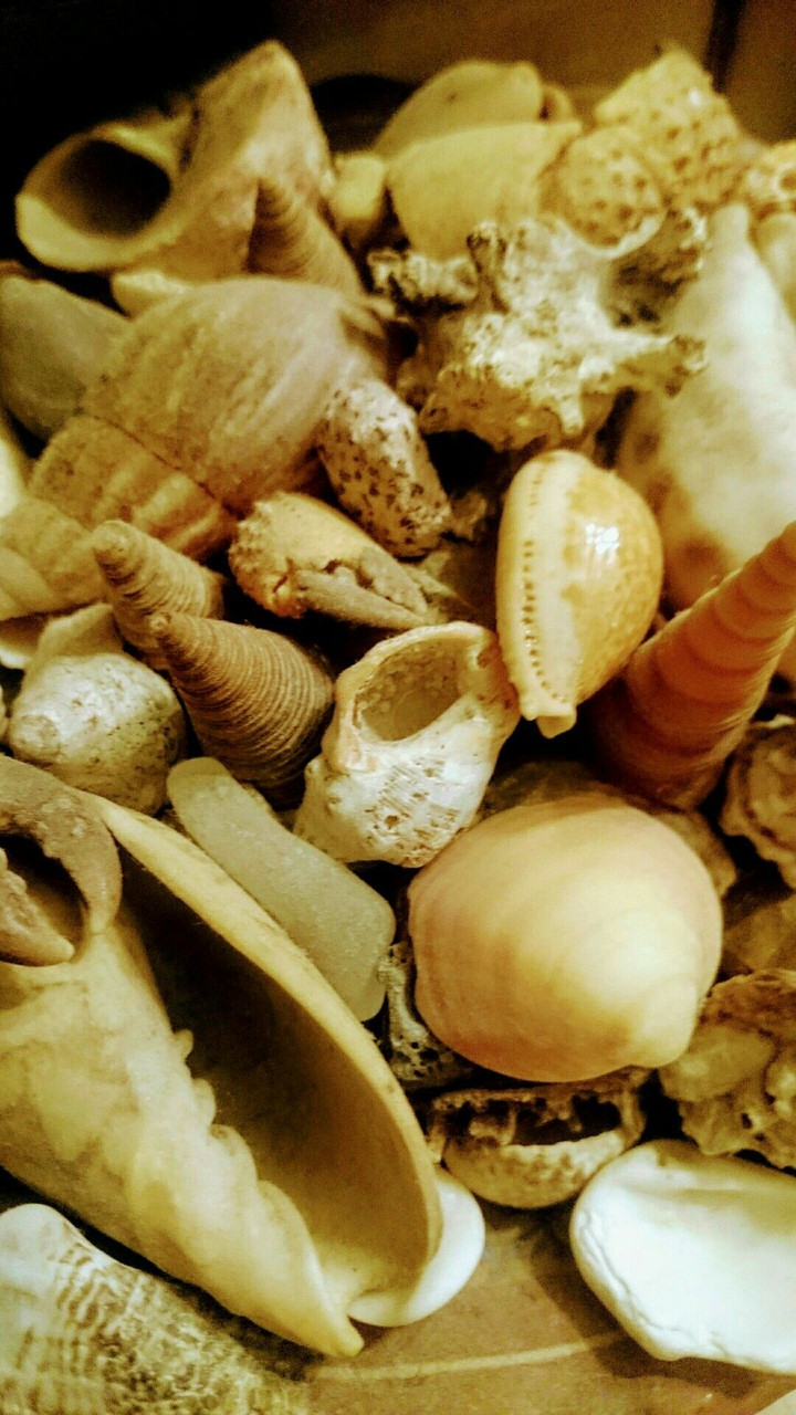 STAMATIOS