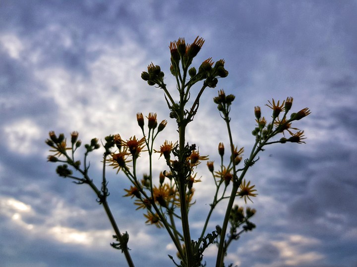 sky