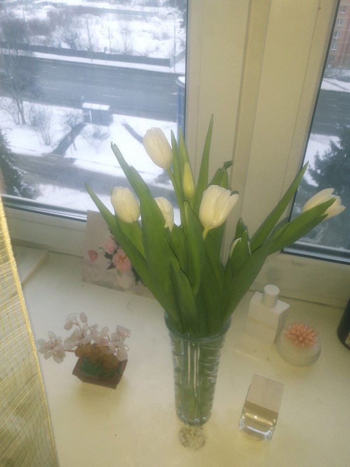 spring is here