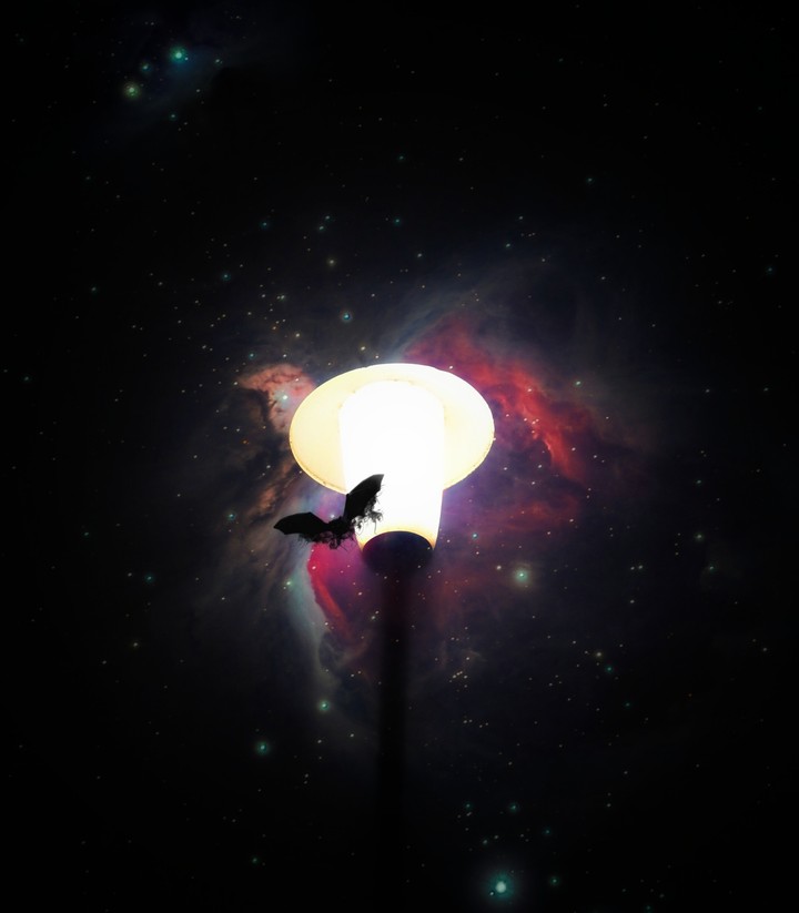 Night