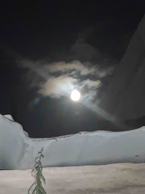 moonlight