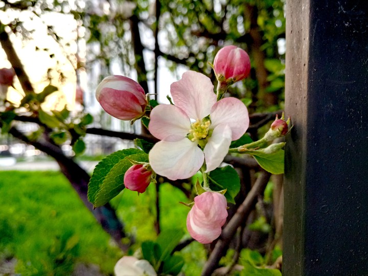 Spring is here