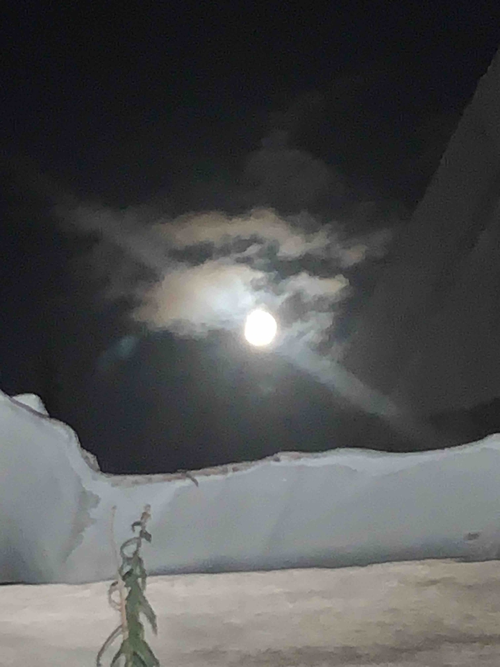 moonlight