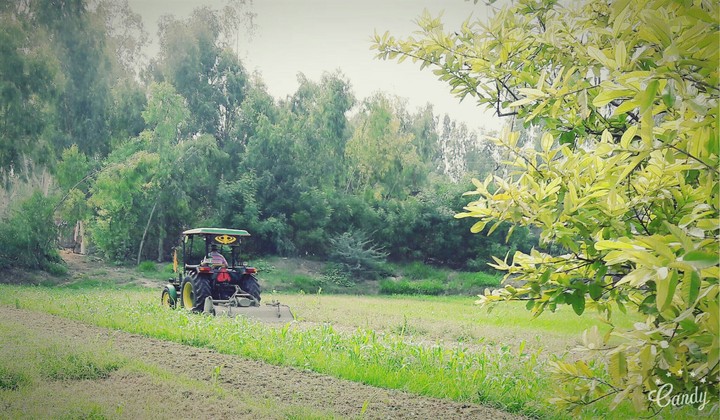 Punjabi Tractor