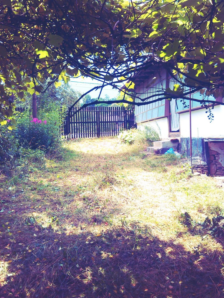 House with garden