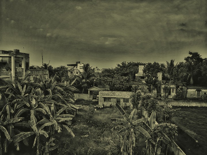 DARK WORLD