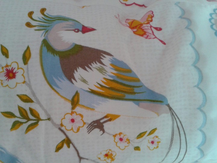 vogel