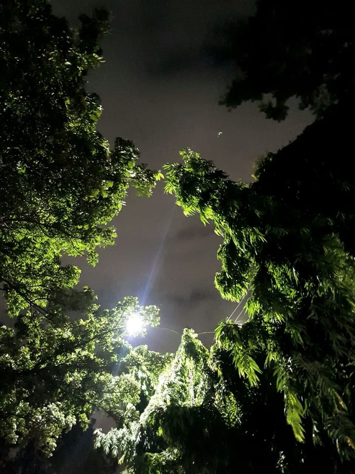moon