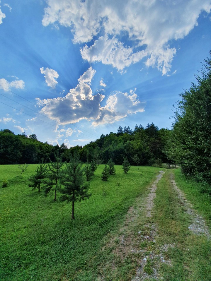 nature