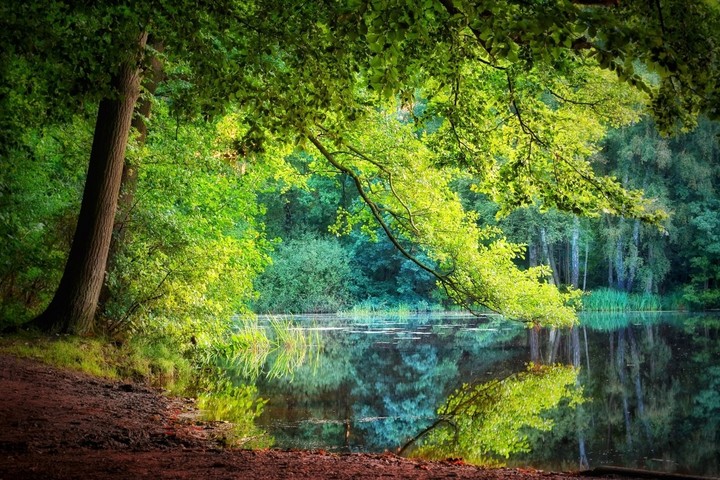 Natur