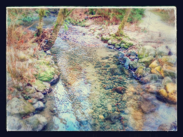 Quiet River
