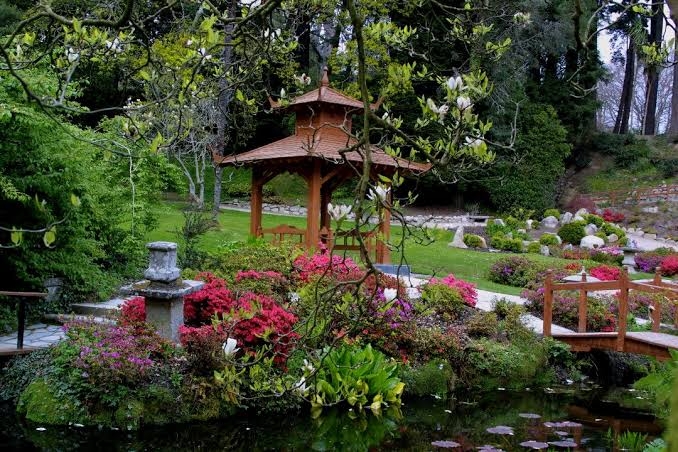 Japanese garden