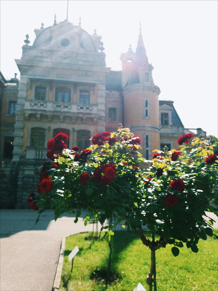 la vie en rose