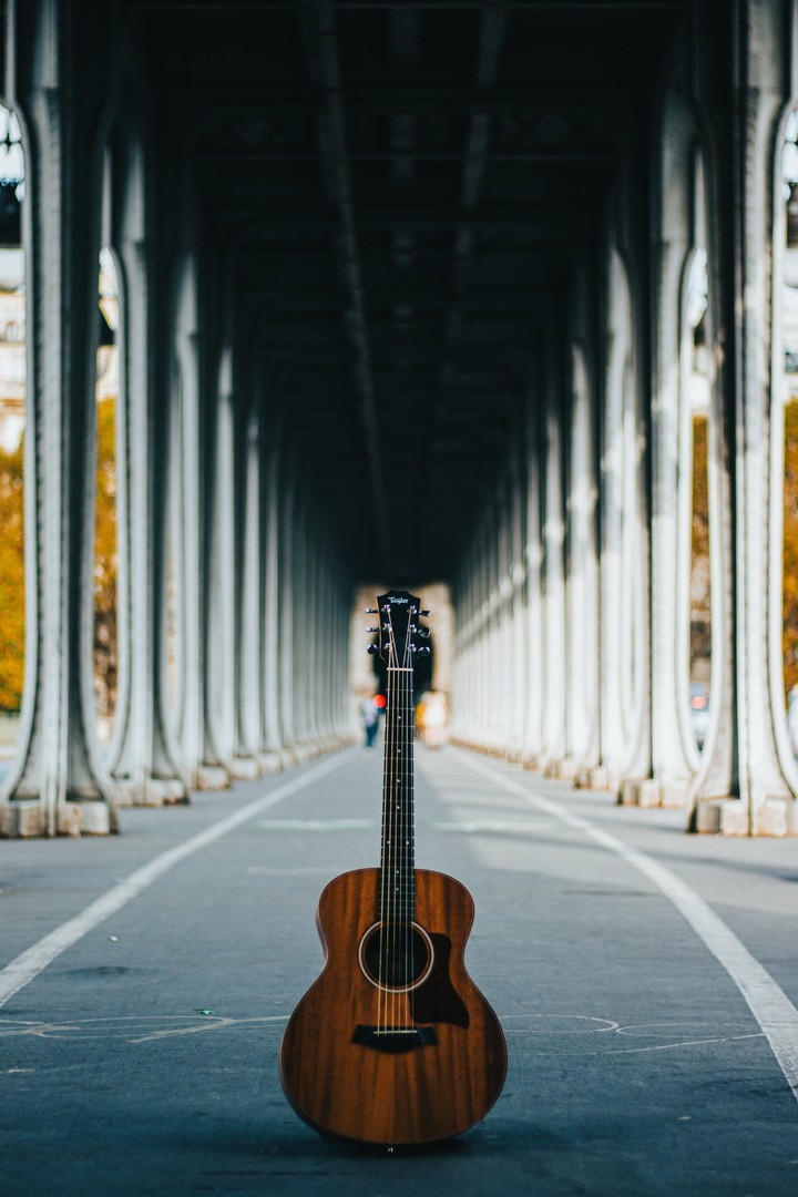 Guitar