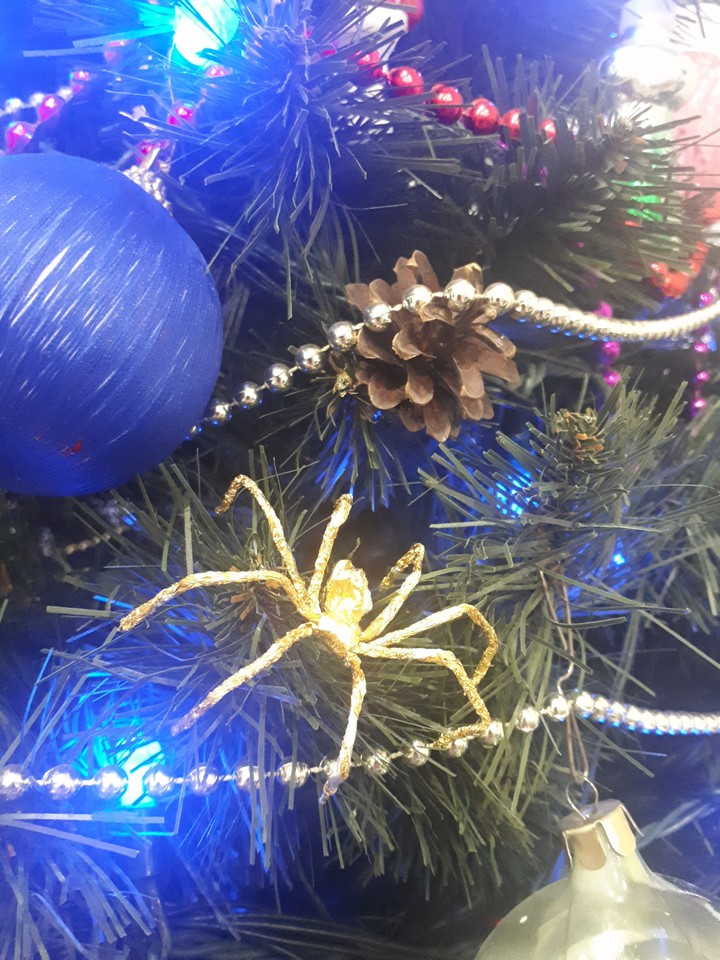 spiders on the tree