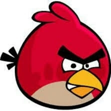 Angry bird