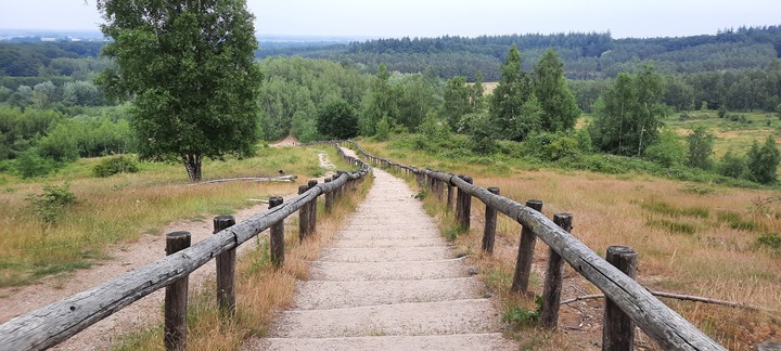 Nature path