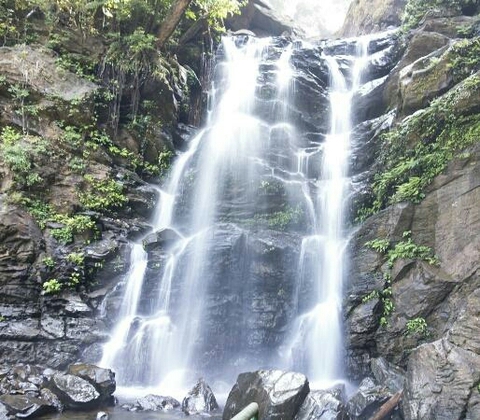 Amazing Nature