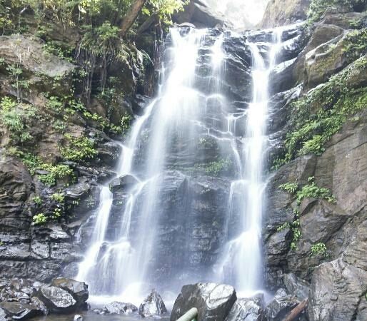 Amazing Nature