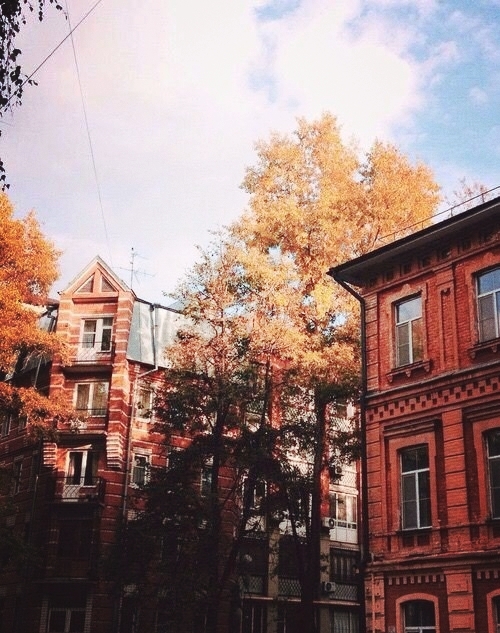 autumn
