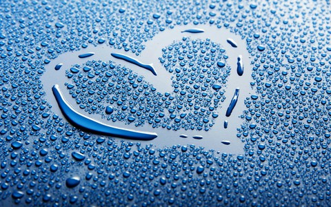 WATER LOVE