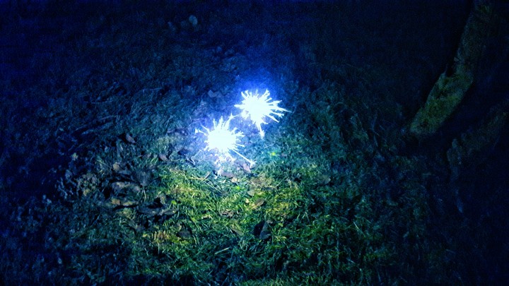 Wisps