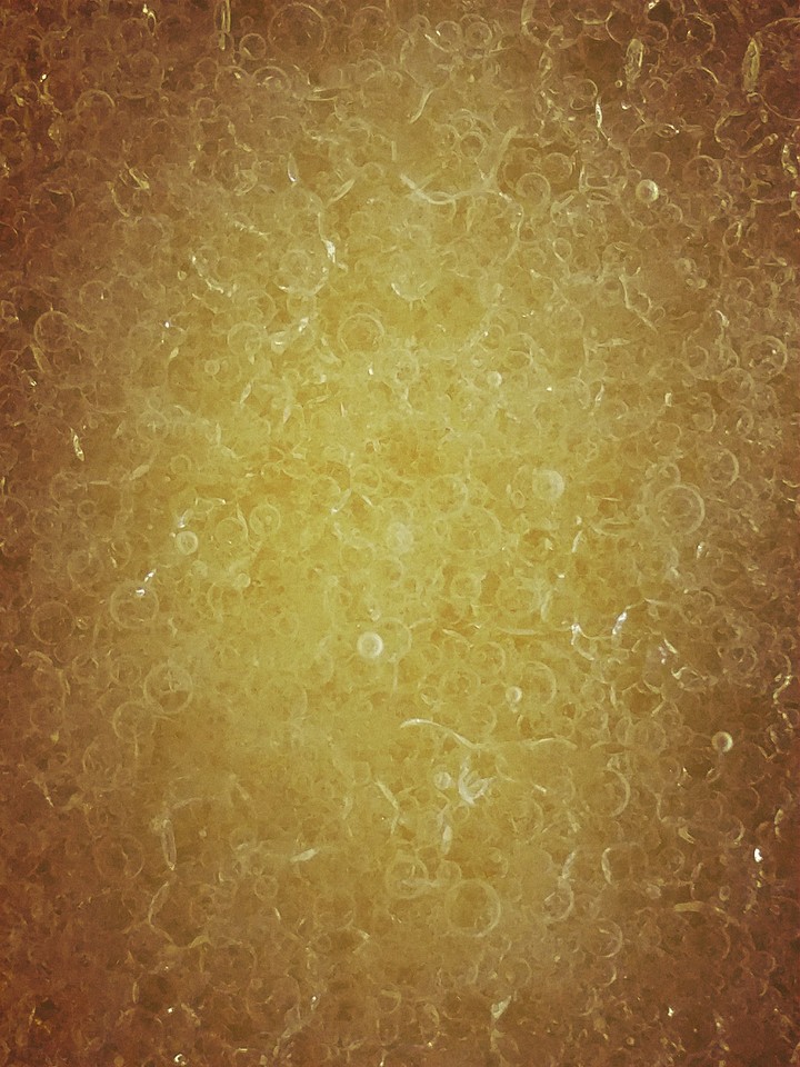 honey