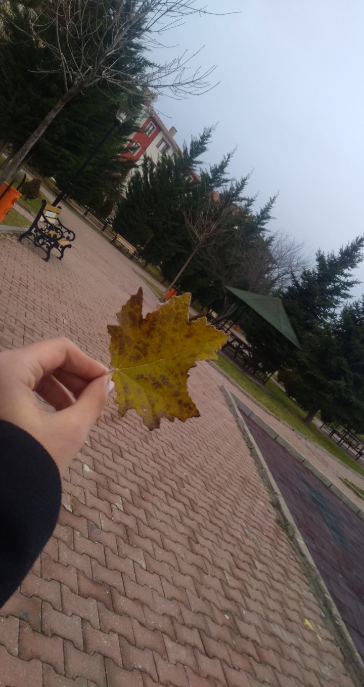 ?