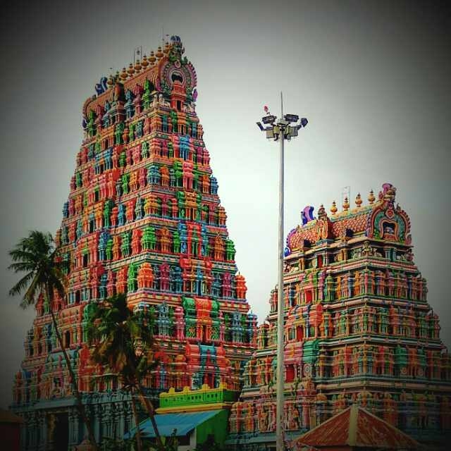 pandyan npn