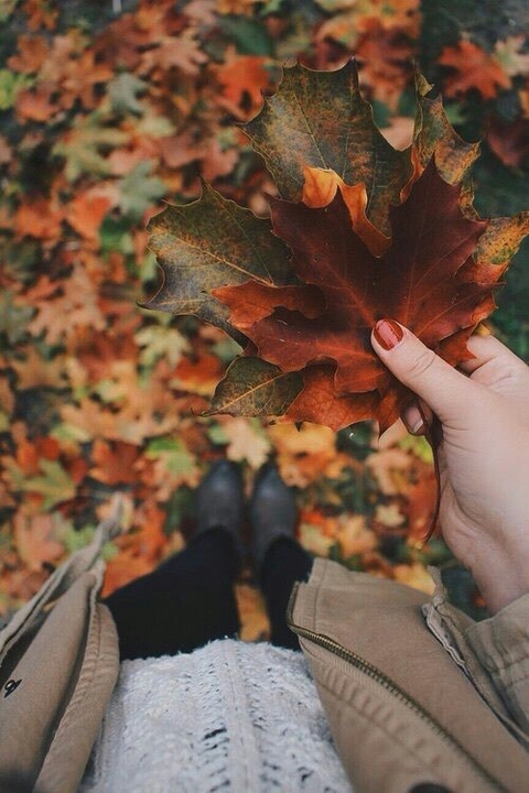 Autumn❤