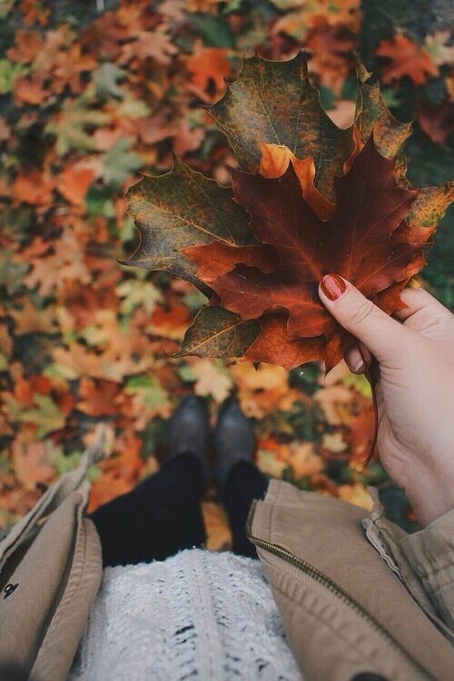 Autumn❤