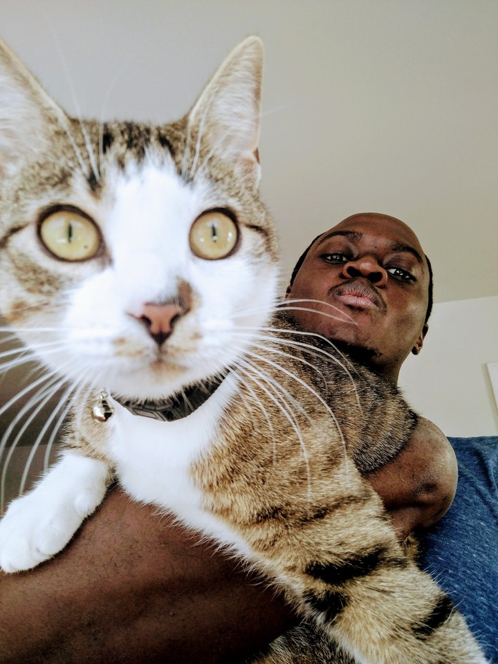 Kitty selfie