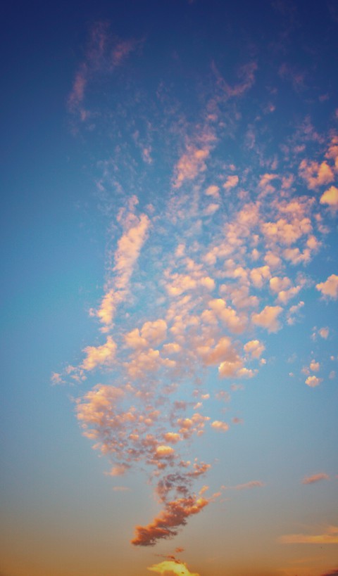 шпалери sunrise, sunset