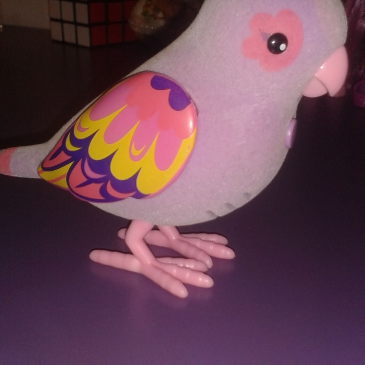 Uccellino