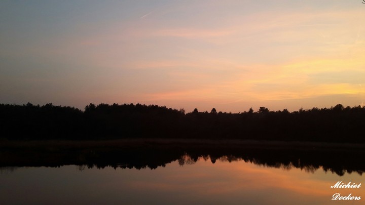 A big lake with the reflection of the trees