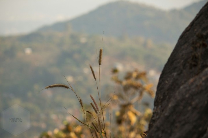 Nature is the art of God