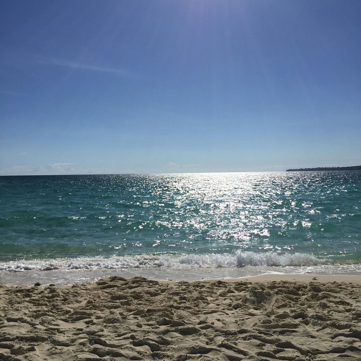 Sunlight by the Sea