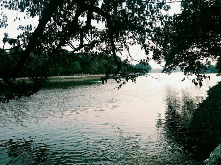 Peaceful Lakeview