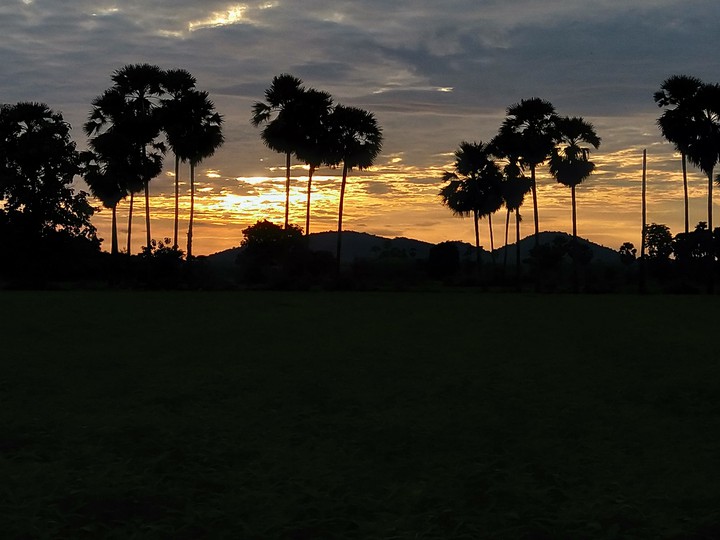 sunset