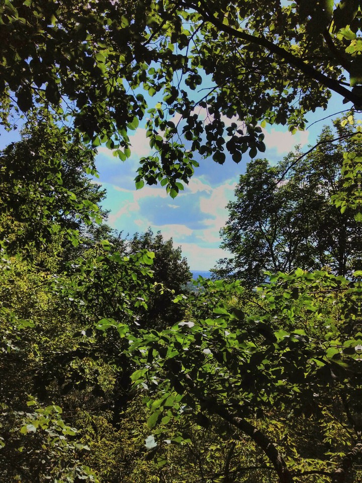nature of the day