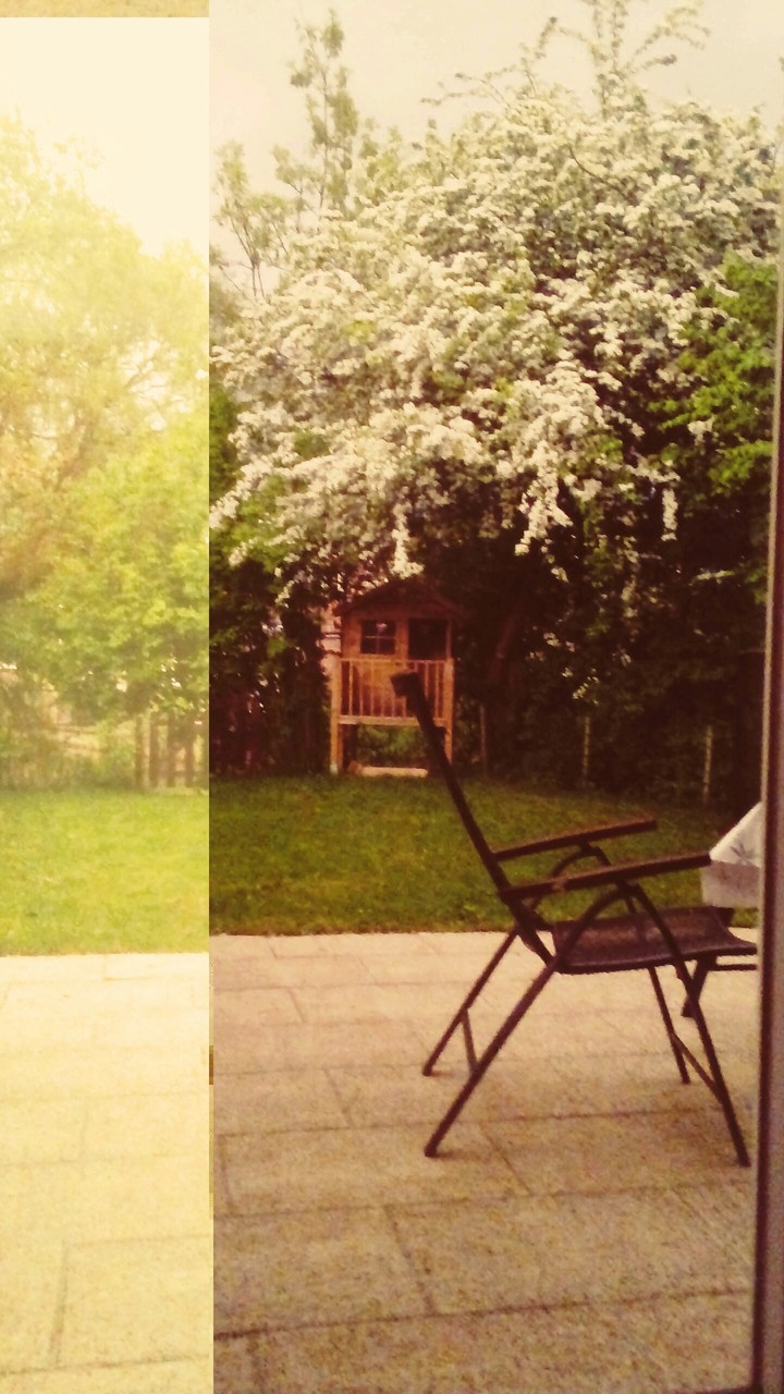 garden❤